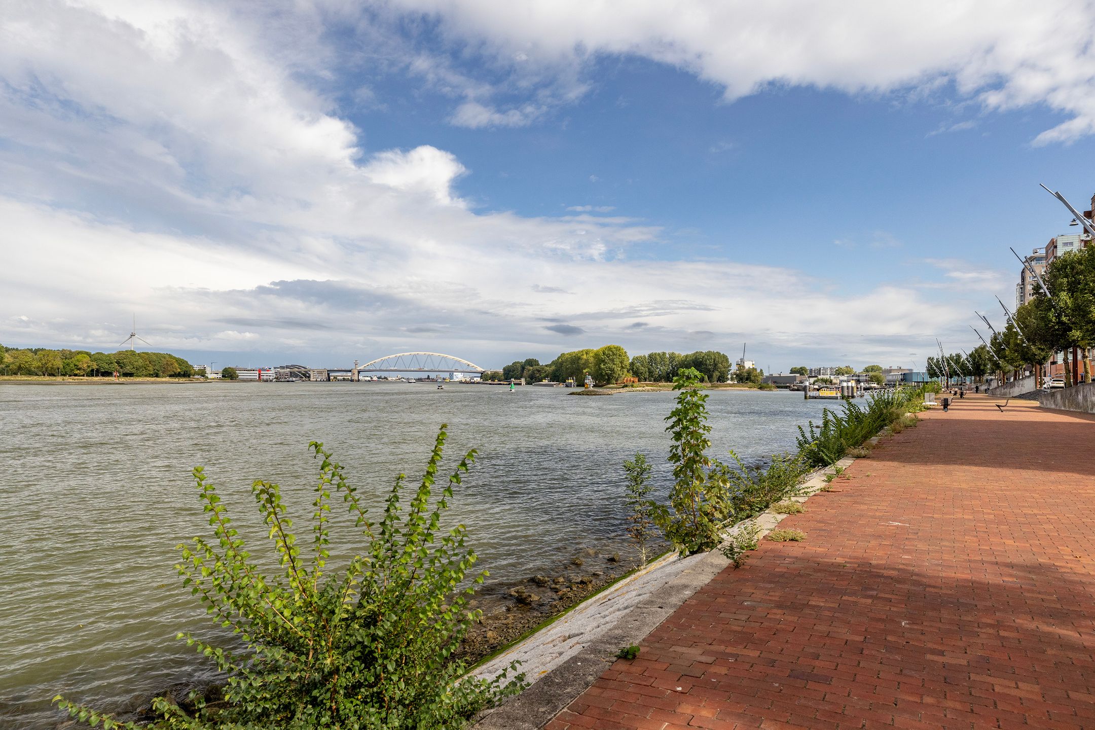 Foto 45 van Cor Kieboomplein 305