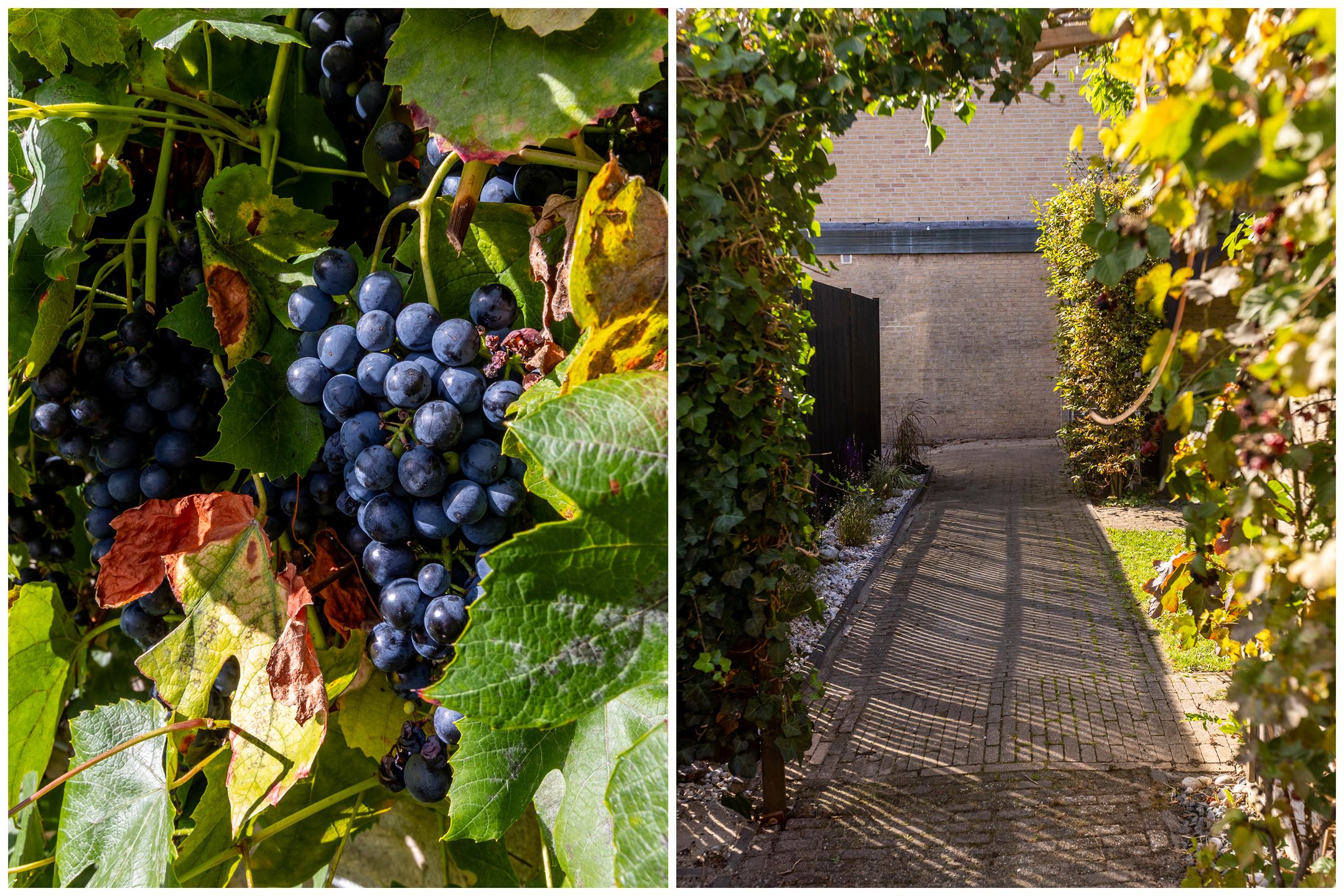 Foto 39 van Zernikelaan 25