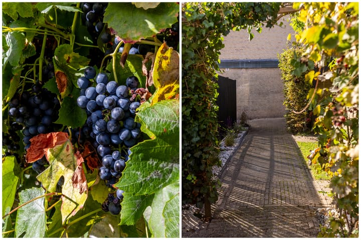 Foto 39 van Zernikelaan 25