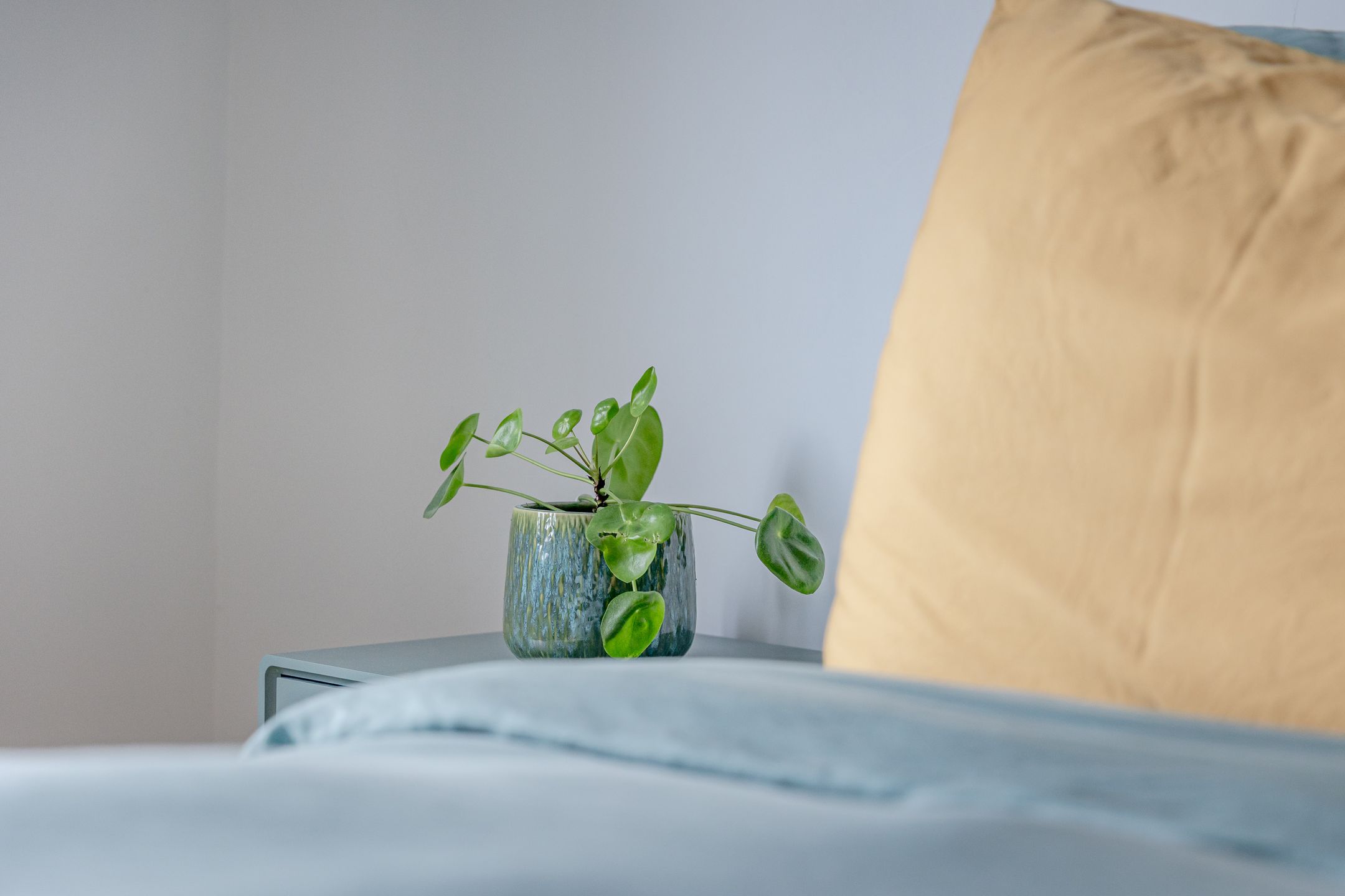 Foto 27 van Brucknerstraat 18