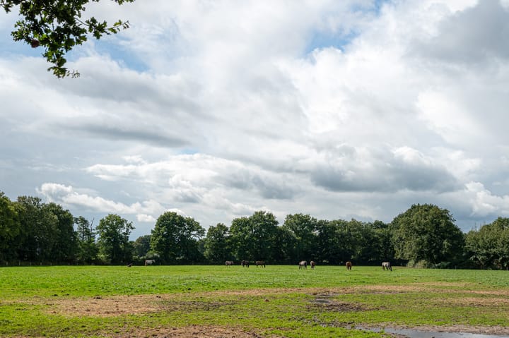 Foto 8 van Lange Landweg 5