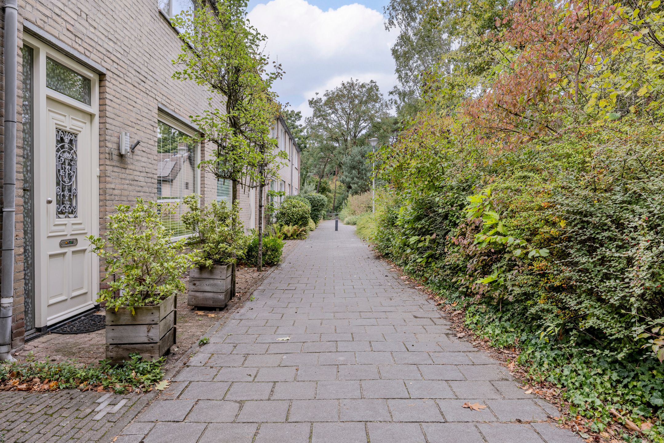 Foto 9 van Mackayhof 11