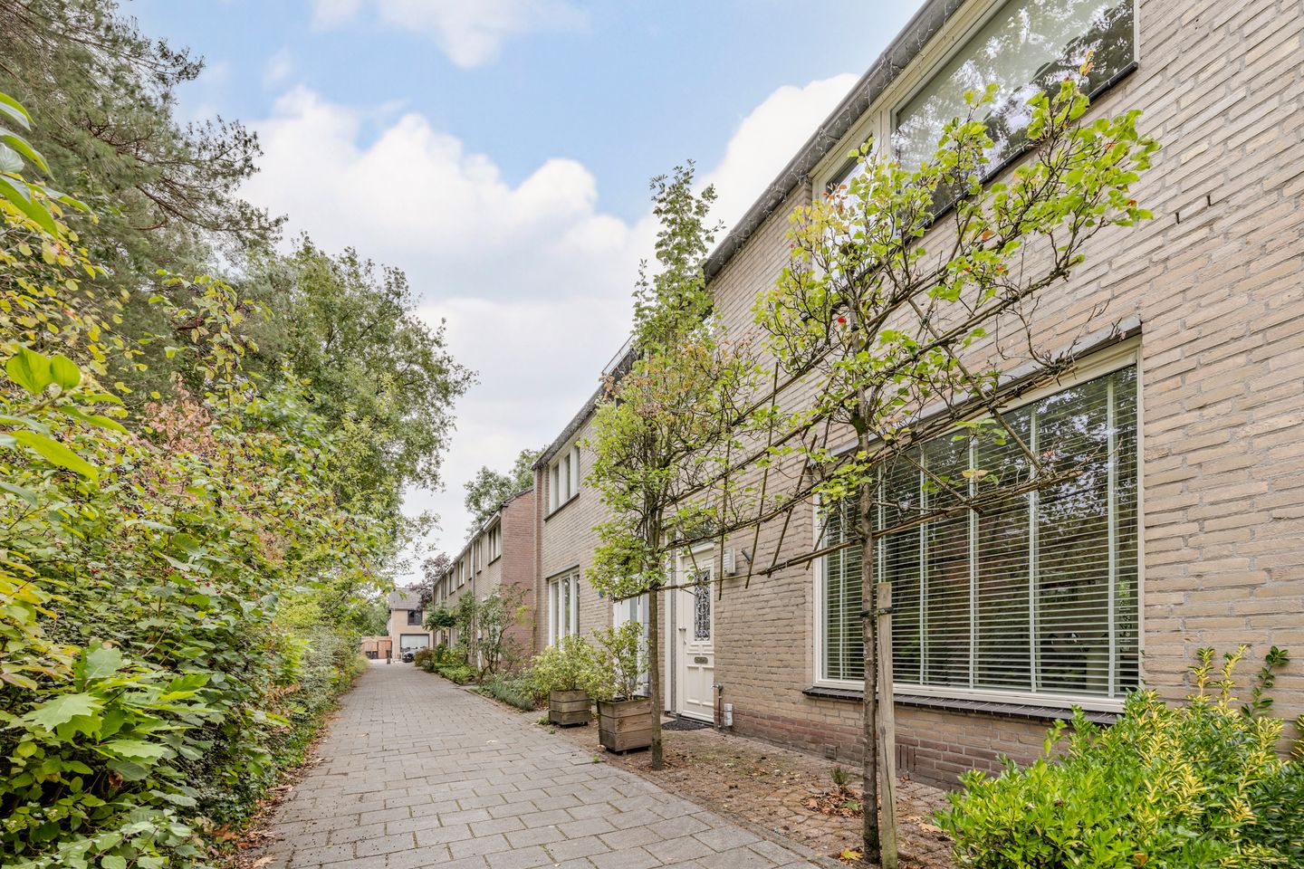 Foto 10 van Mackayhof 11