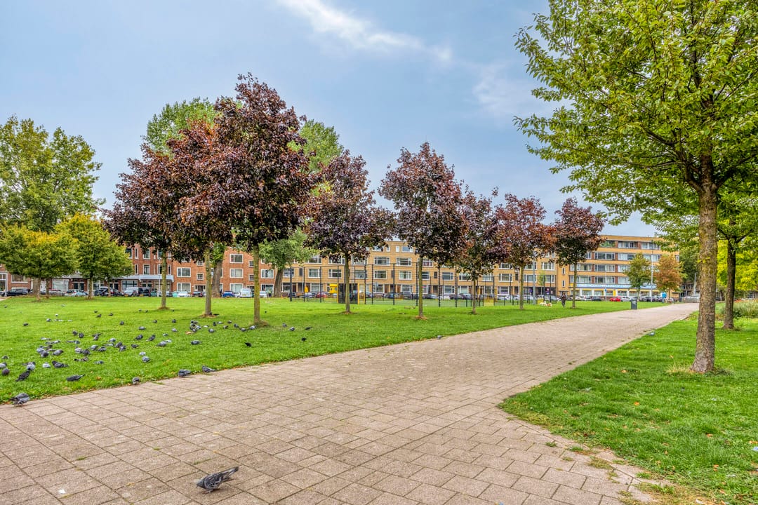 Foto 28 van Strevelsweg 349