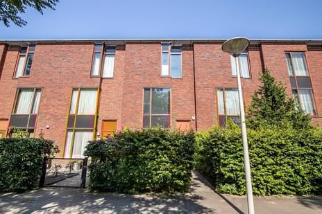 undefined main image