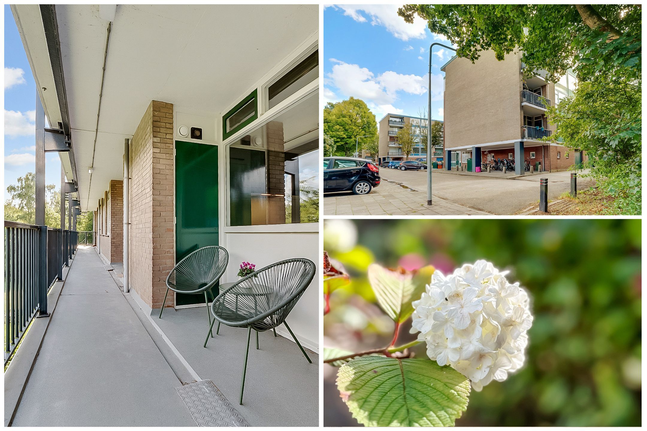 Foto 18 van Banckertlaan 307