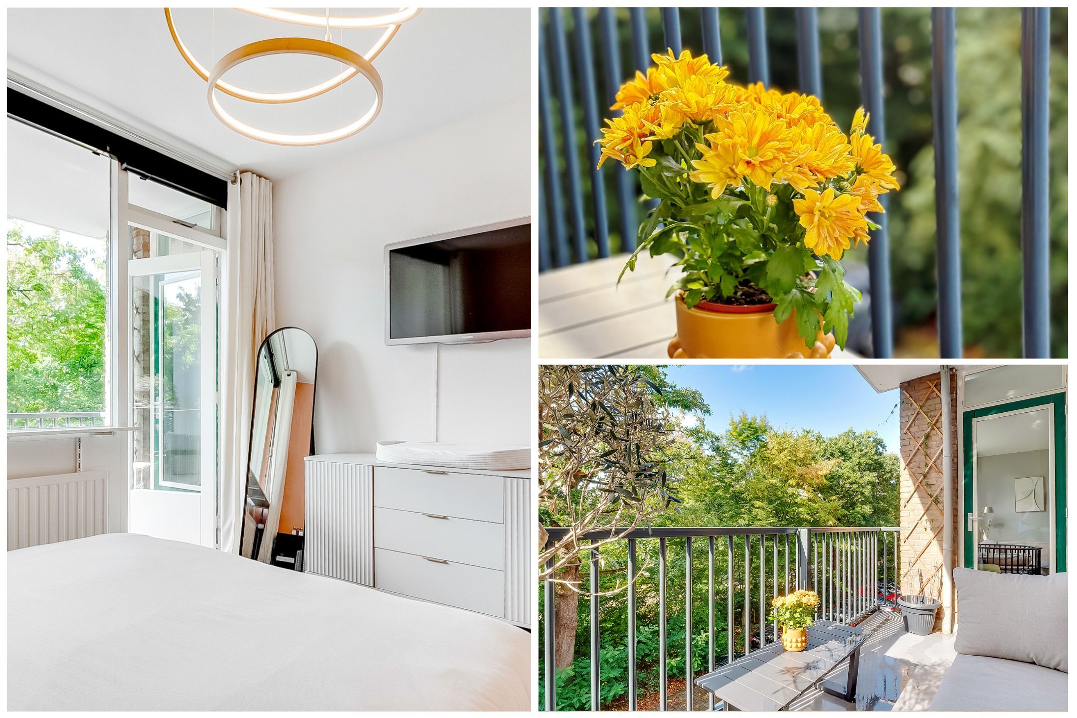 Foto 24 van Banckertlaan 307