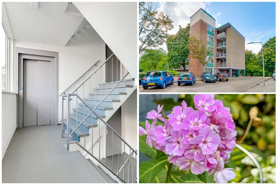 Foto 31 van Banckertlaan 307