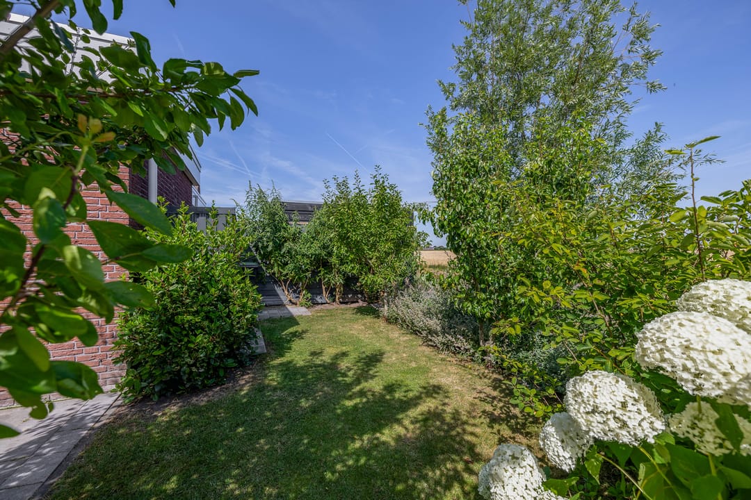 Foto 26 van Potroede 15