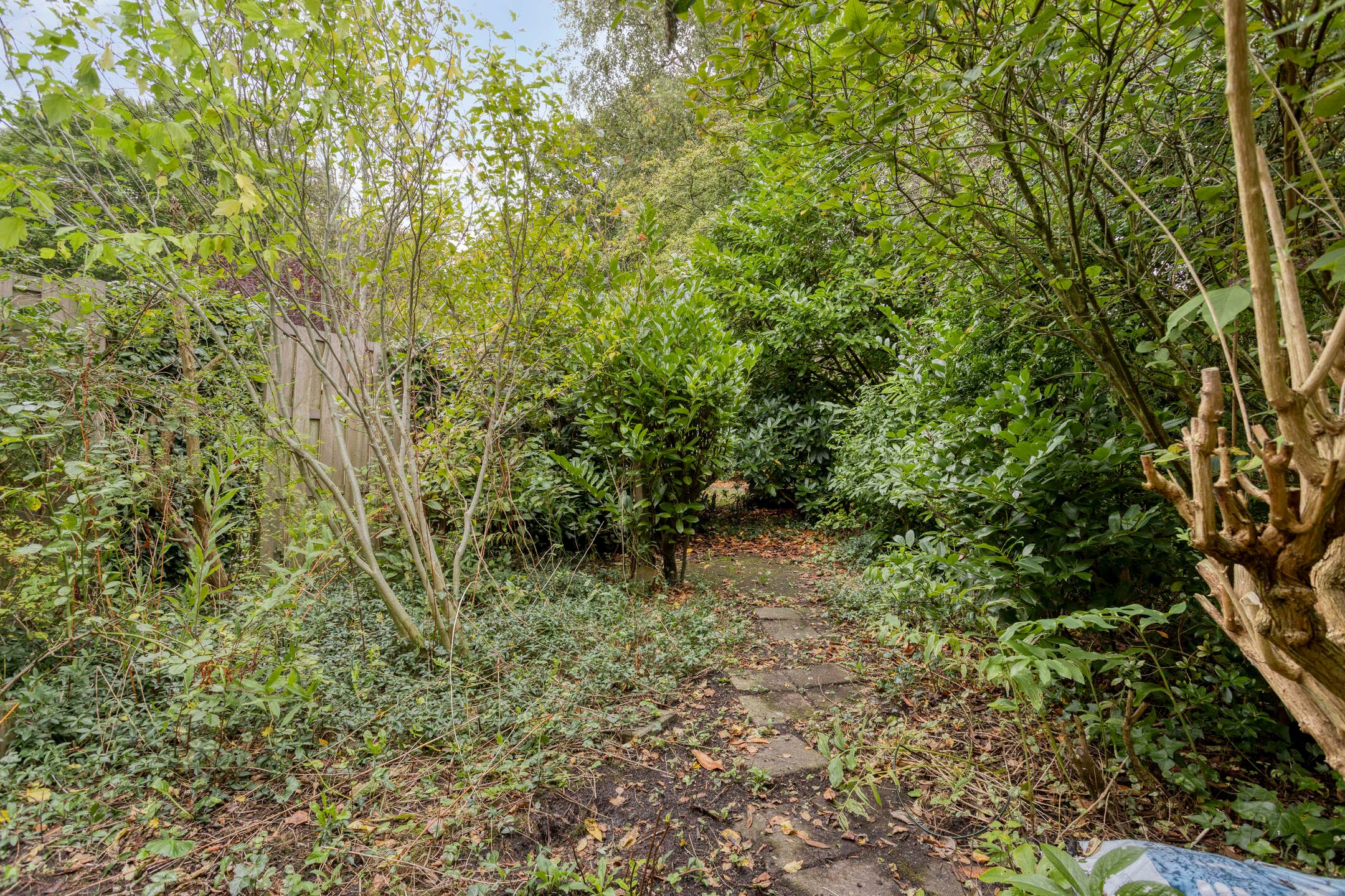 Foto 6 van Fioringras 5-A