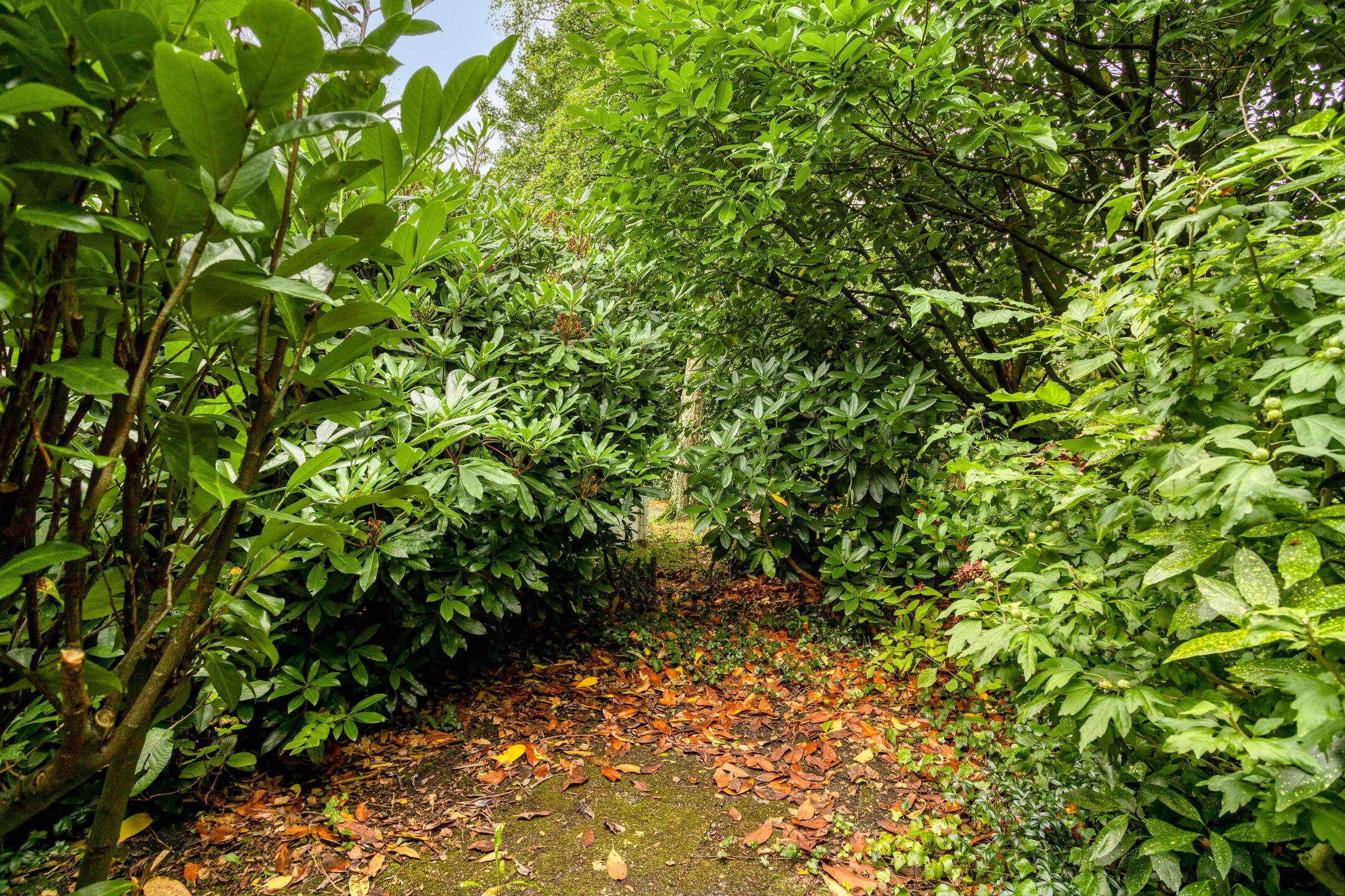 Foto 33 van Fioringras 5-A