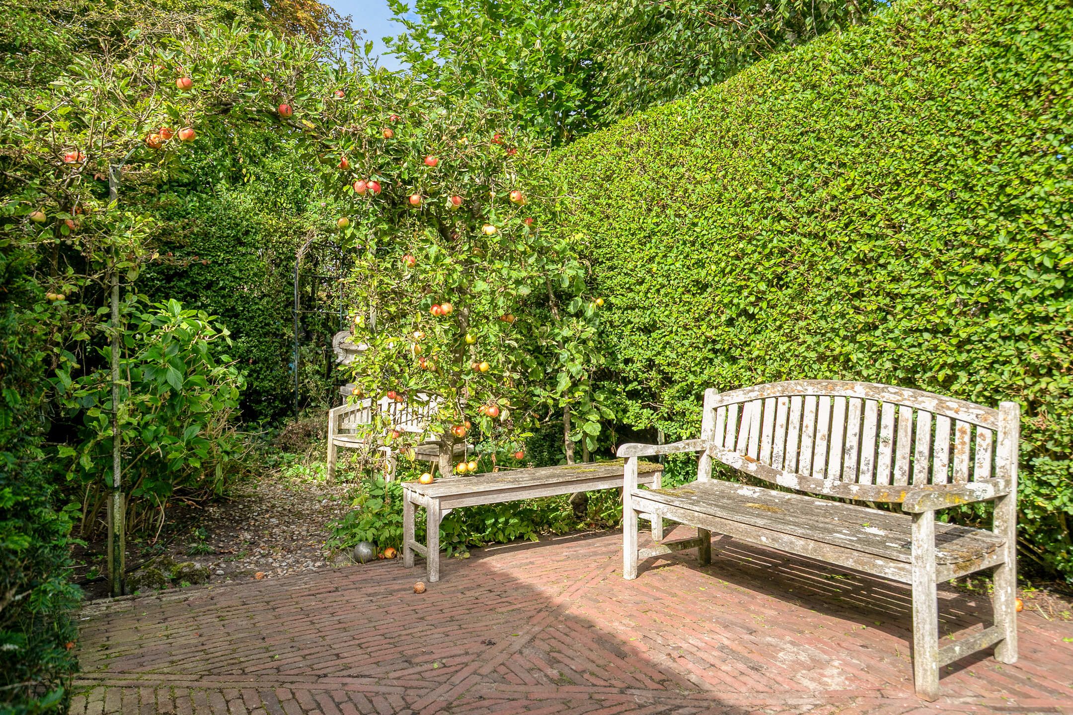 Foto 36 van Noordsingel 154