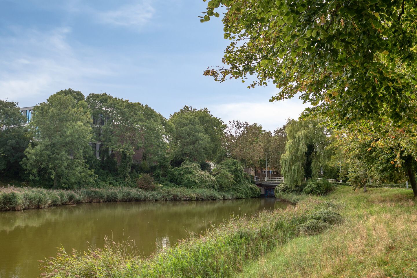 Foto 40 van Noordsingel 154