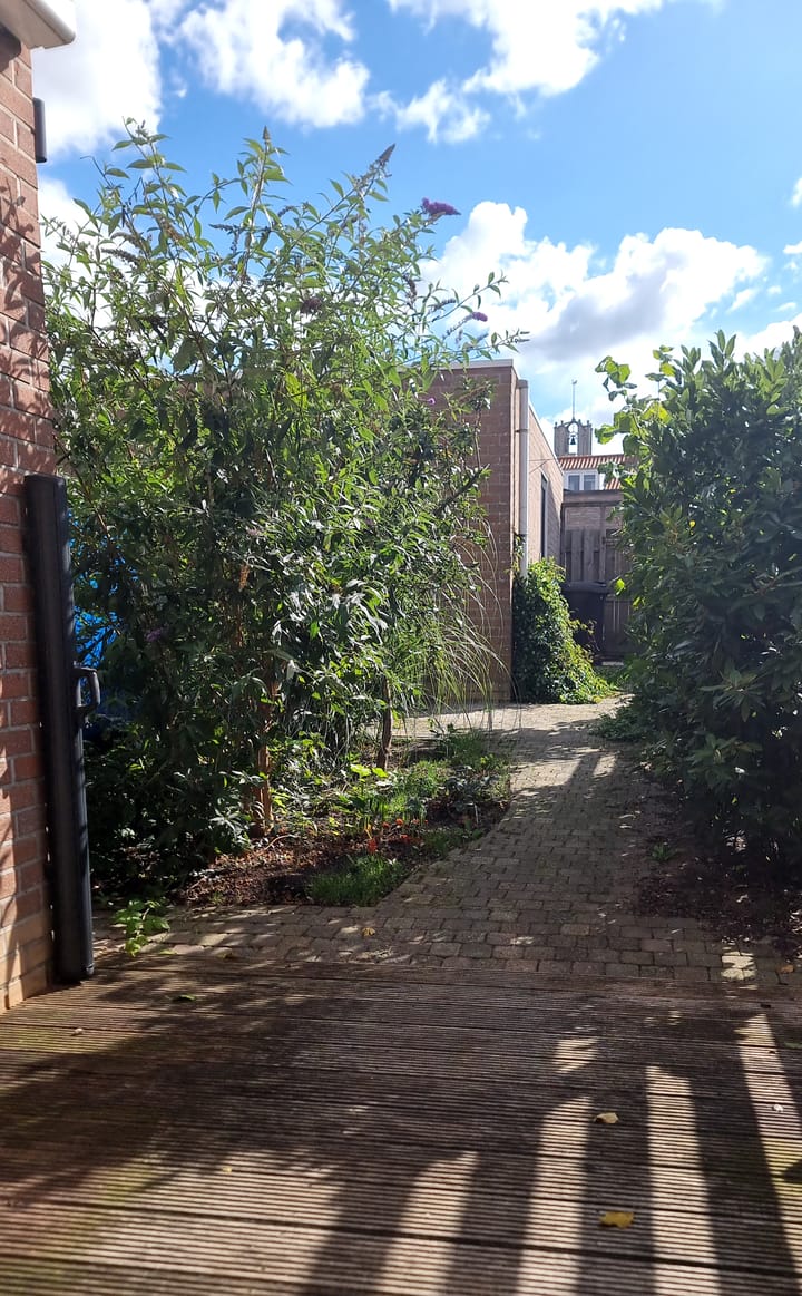 Foto 18 van Molenberg 12