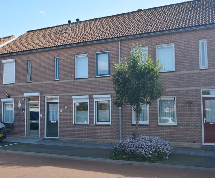 Foto 24 van Molenberg 12