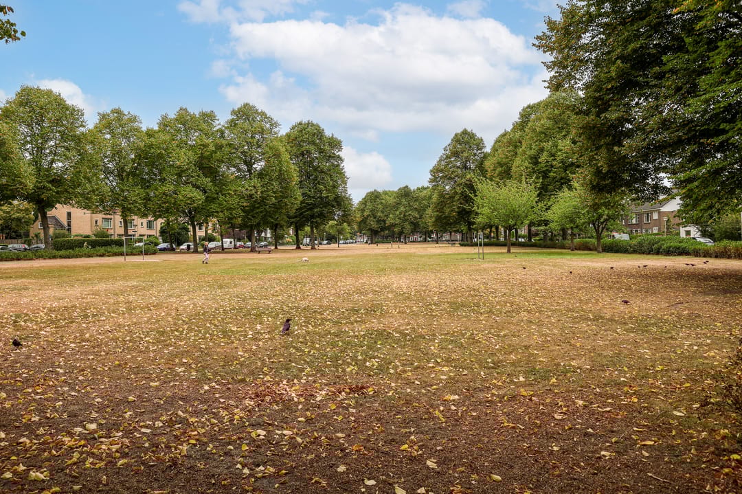 Foto 38 van Fuchsiastraat 15