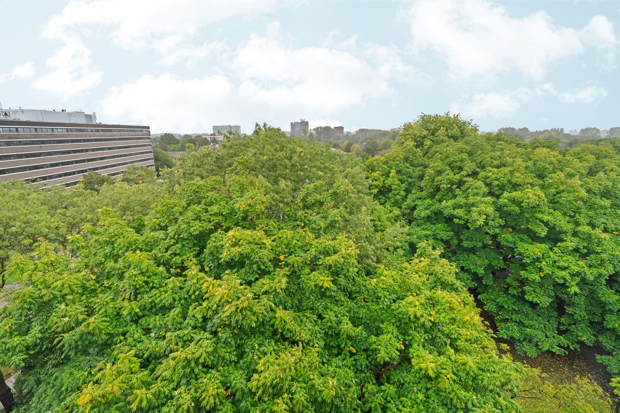 Foto 15 van Van Nijenrodeweg 284