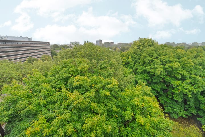 Photo 15 of Van Nijenrodeweg 284