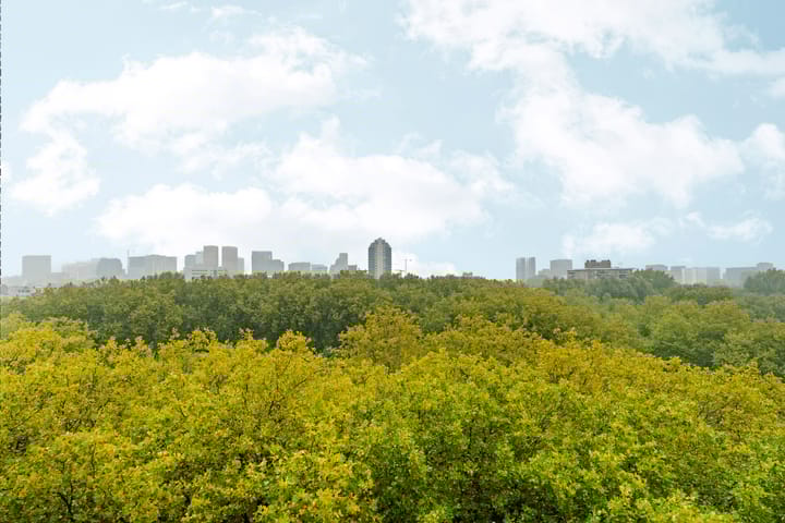 Photo 4 of Van Nijenrodeweg 284