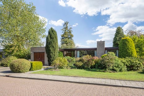 Dammenlaan thumbnail