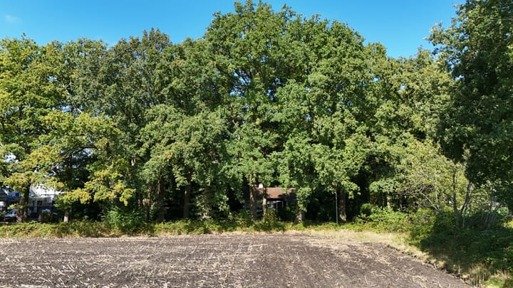 Foto 4 van Fluitenbergseweg-Oost 6
