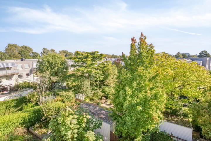 Photo 29 of Pedro Luis Briónstraat 39