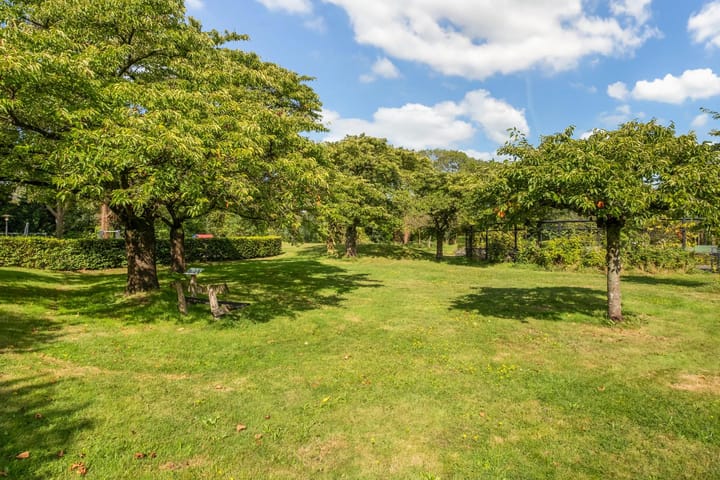 Photo 31 of Pedro Luis Briónstraat 39