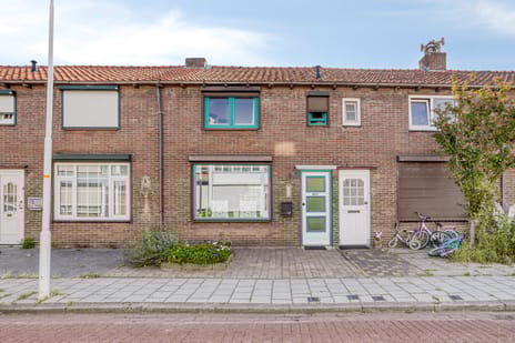 undefined main image