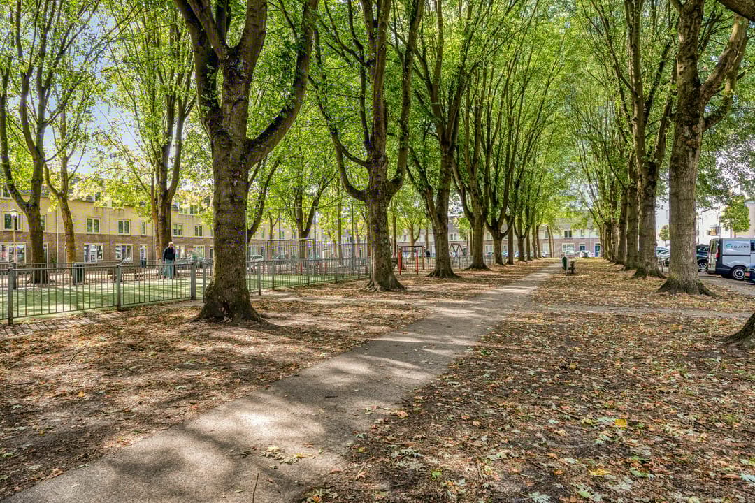 Foto 46 van Schaepmanstraat 28