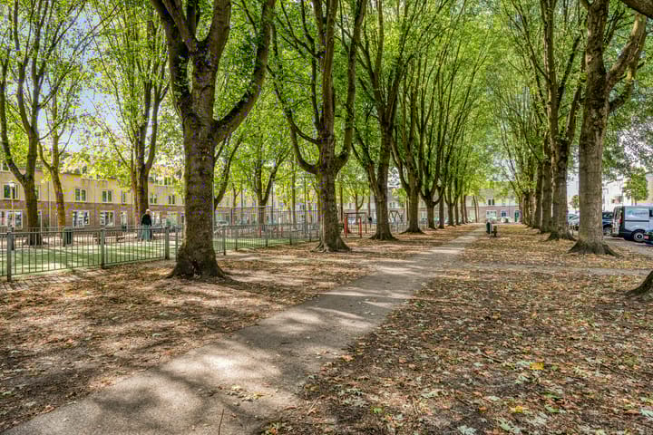 Foto 46 van Schaepmanstraat 28