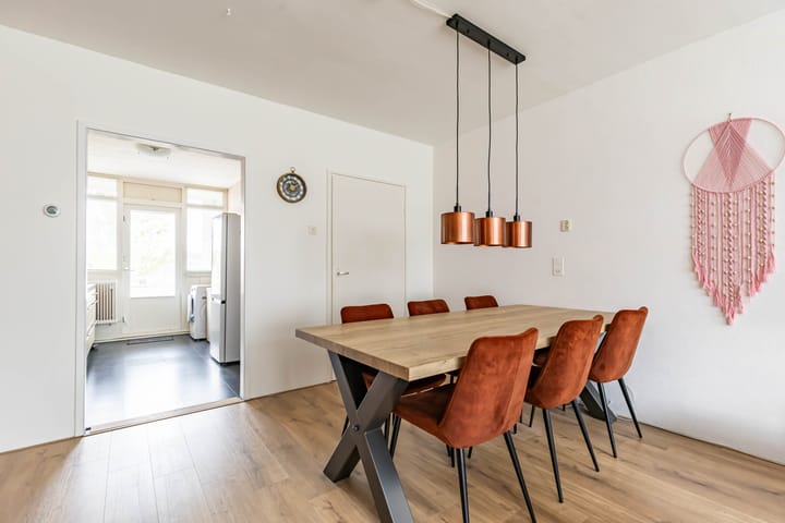 Foto 15 van Plutolaan 46