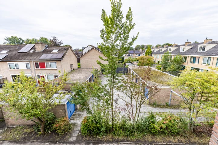 Foto 20 van Plutolaan 46