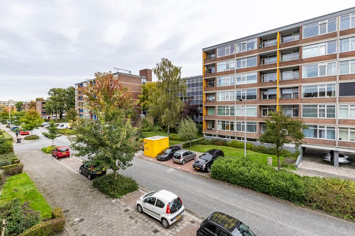 Foto 21 van Plutolaan 46