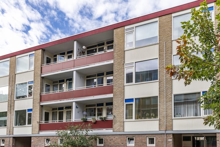 Foto 4 van Plutolaan 46