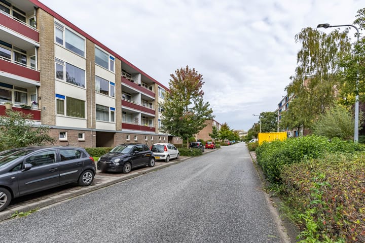 Foto 33 van Plutolaan 46