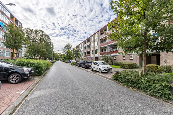 Foto 35 van Plutolaan 46