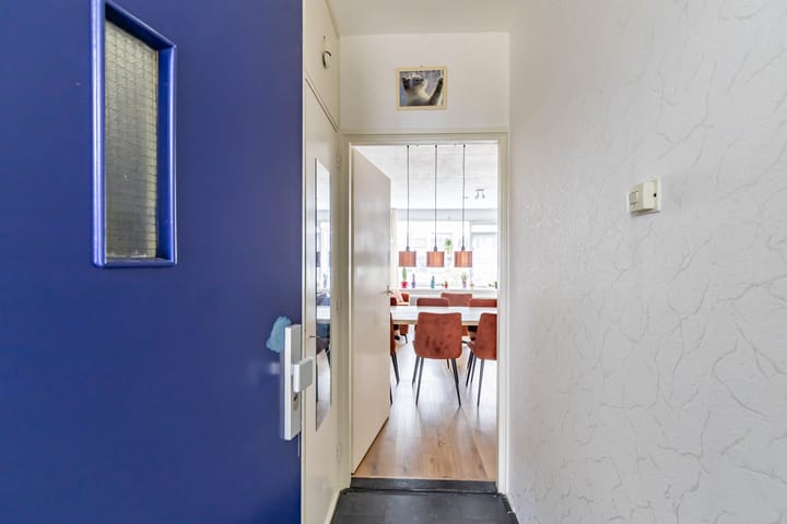 Foto 7 van Plutolaan 46