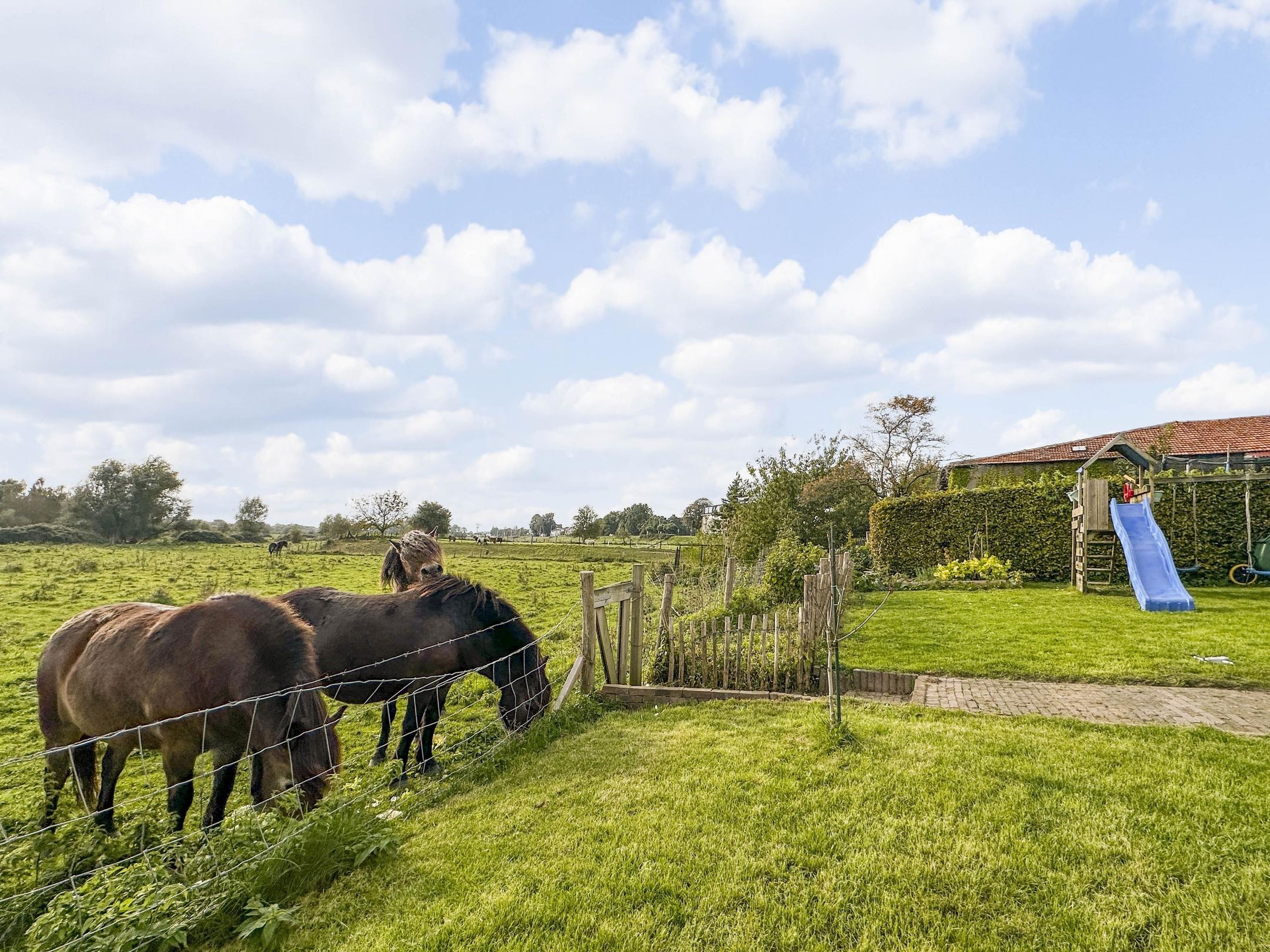 124.jpg?options=width=2160