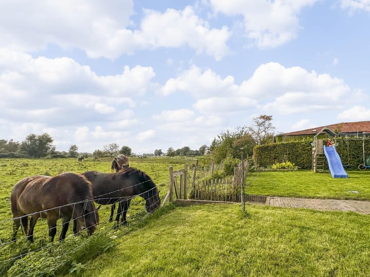 Photo 60 of Dorpsdijk 10