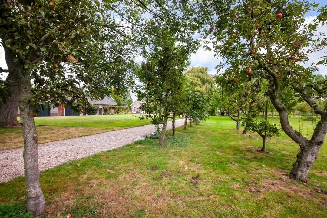 Foto 92 van Weijpoort 36-B