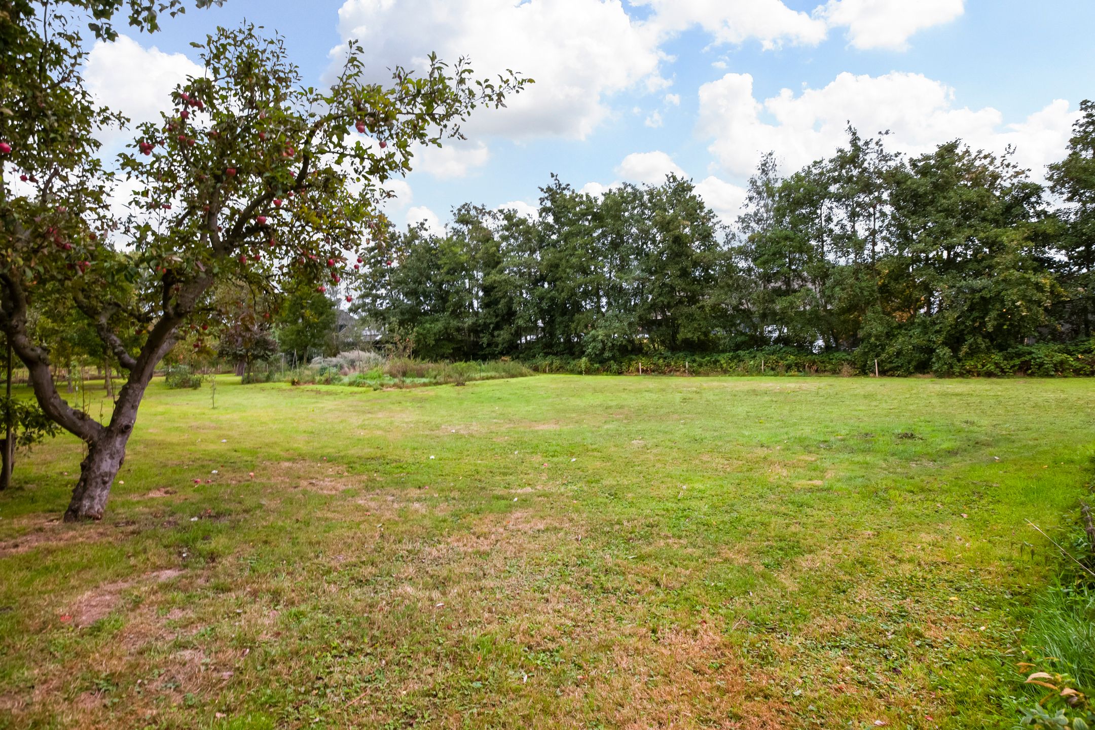 Foto 96 van Weijpoort 36-B