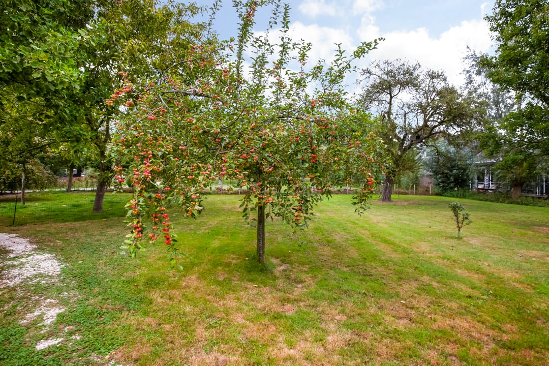 Foto 97 van Weijpoort 36-B