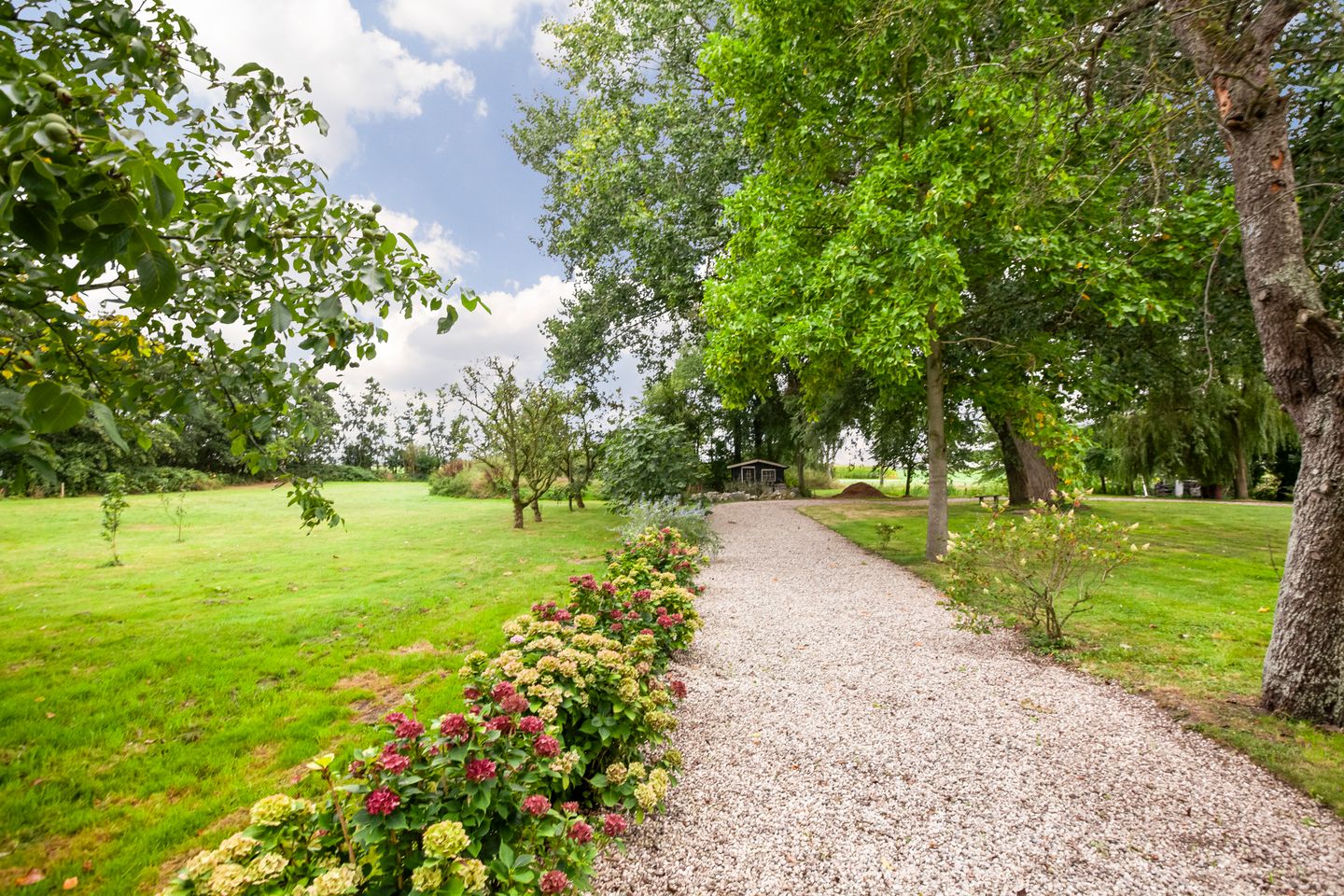 Foto 100 van Weijpoort 36-B