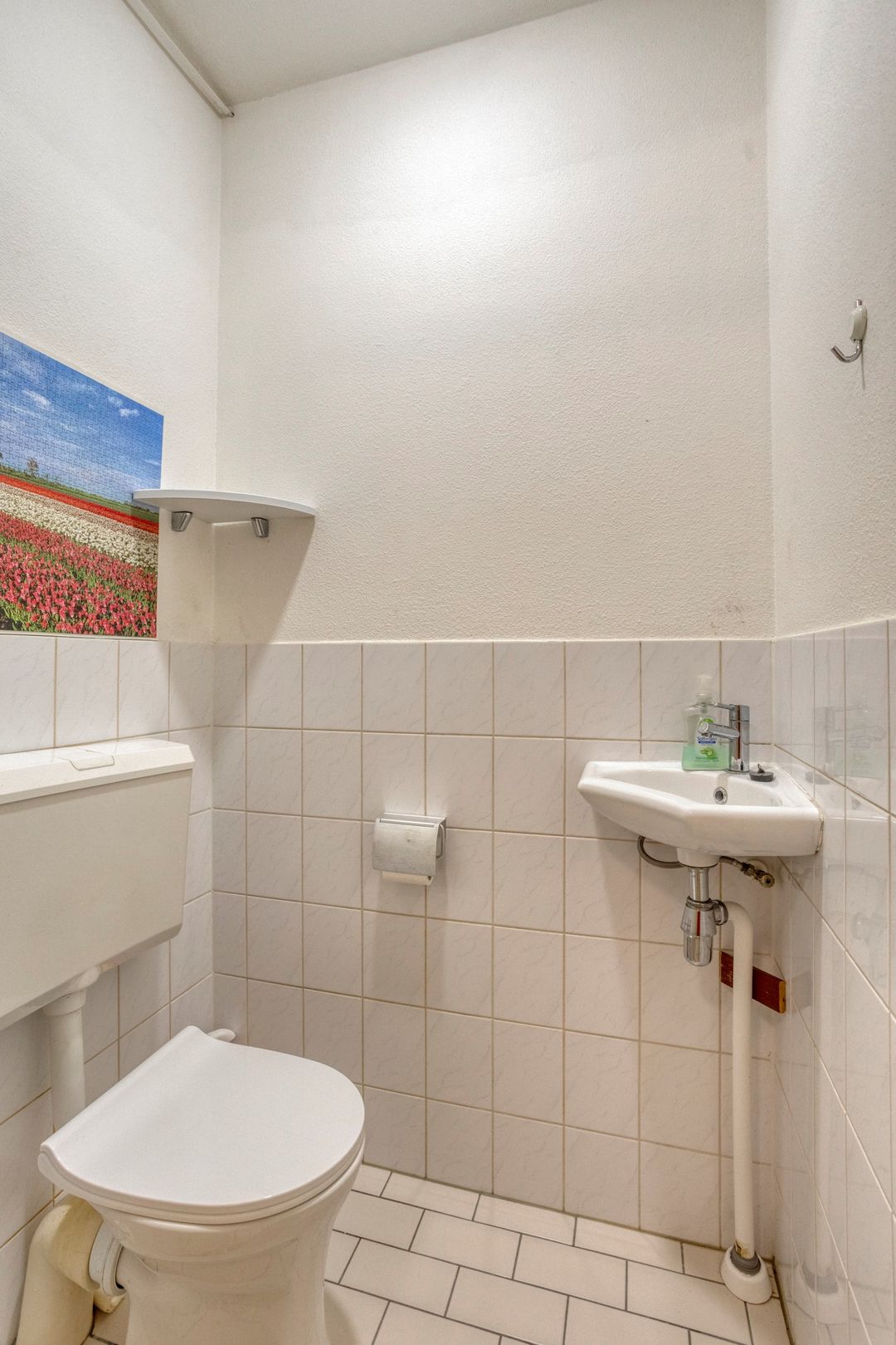 Foto 11 van Kokospalmhof 22