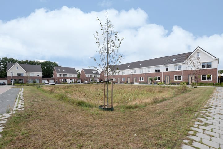 Photo 4 of Ruitenheerhof 23