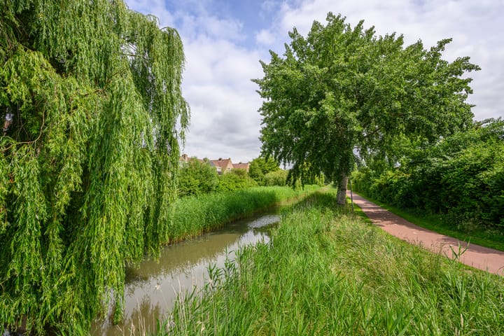 Foto 4 van Enkhuizerzand 51