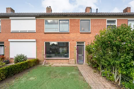 undefined main image