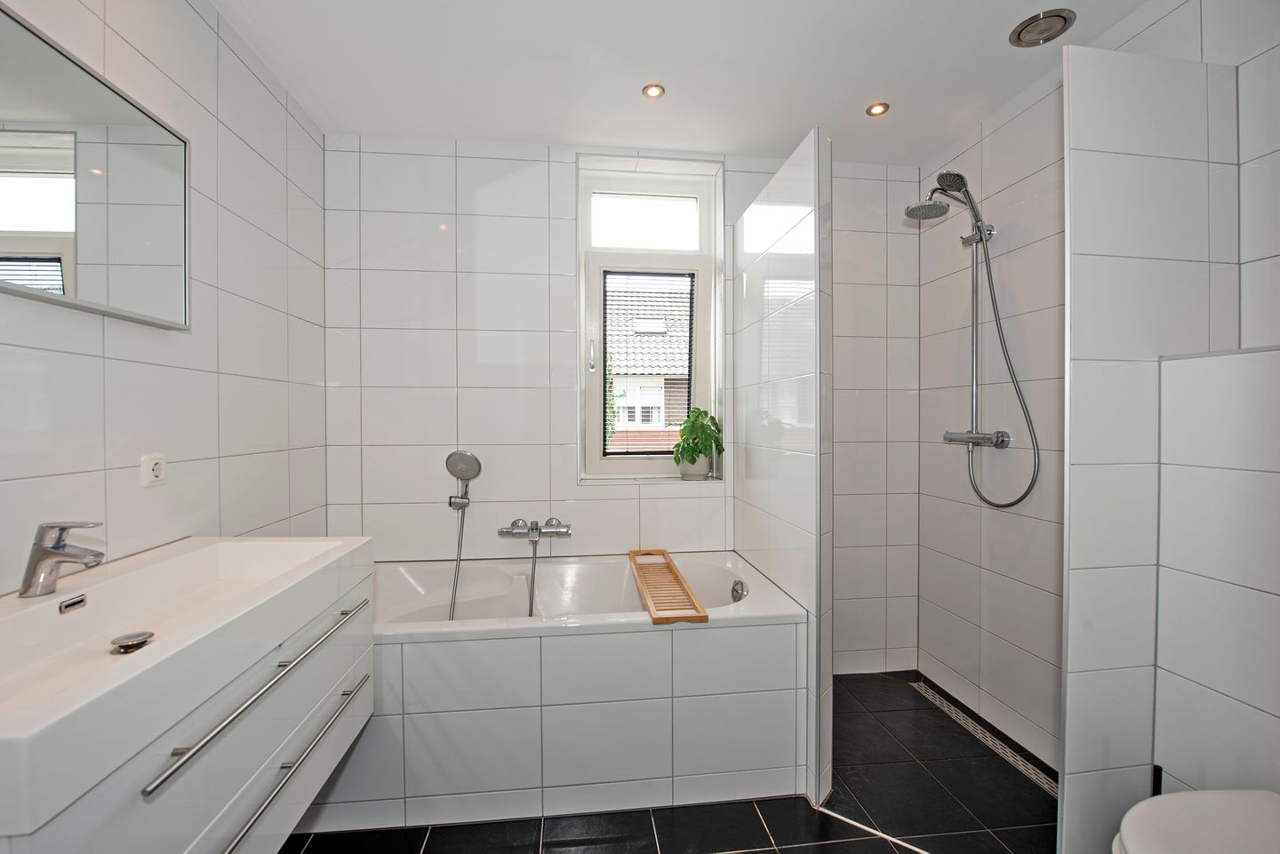 Foto 19 van Speenkruid 2