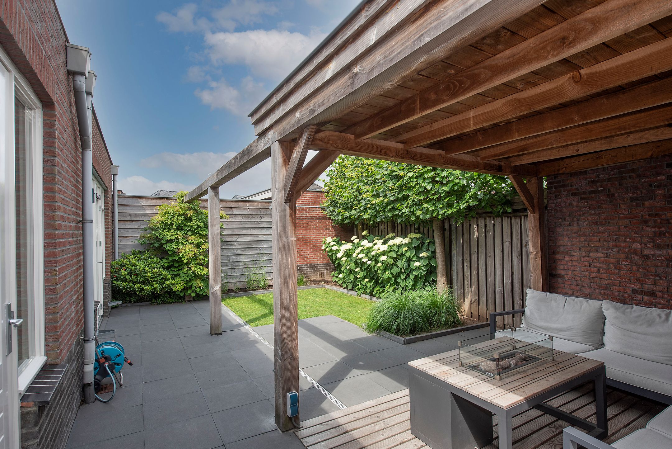 Foto 30 van Speenkruid 2