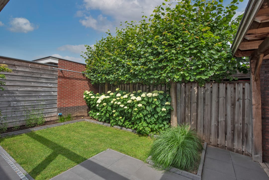 Foto 31 van Speenkruid 2